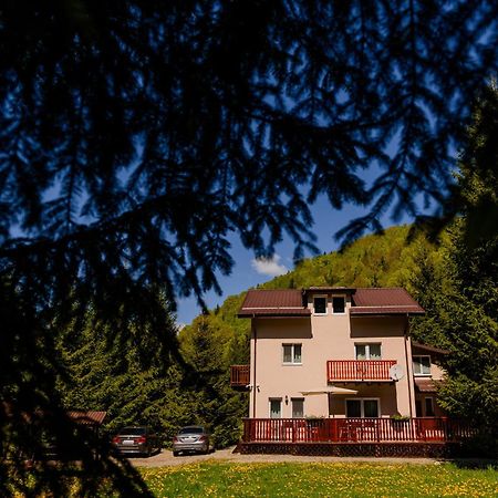 Cabana Zip Zărneşti Exteriér fotografie