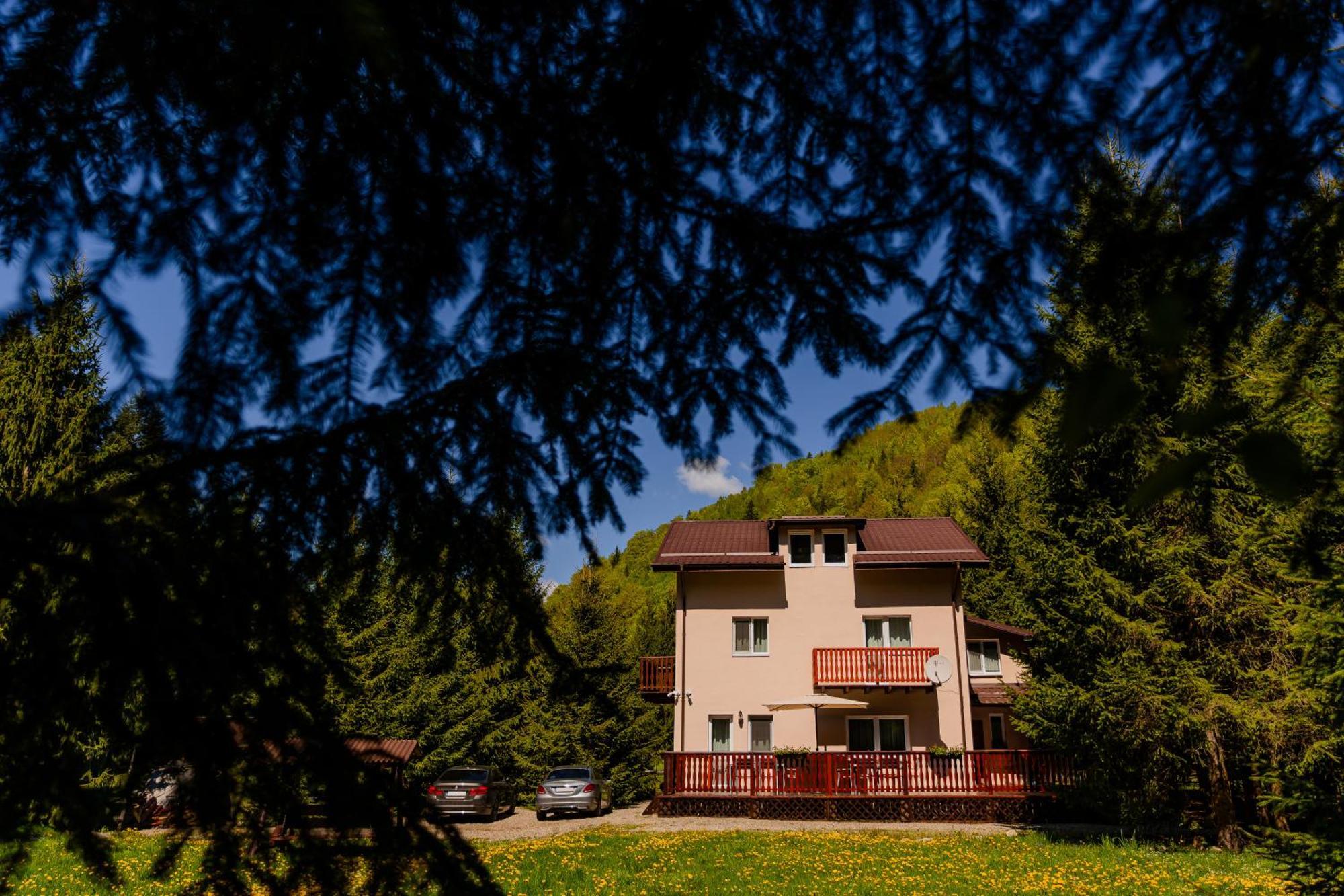 Cabana Zip Zărneşti Exteriér fotografie