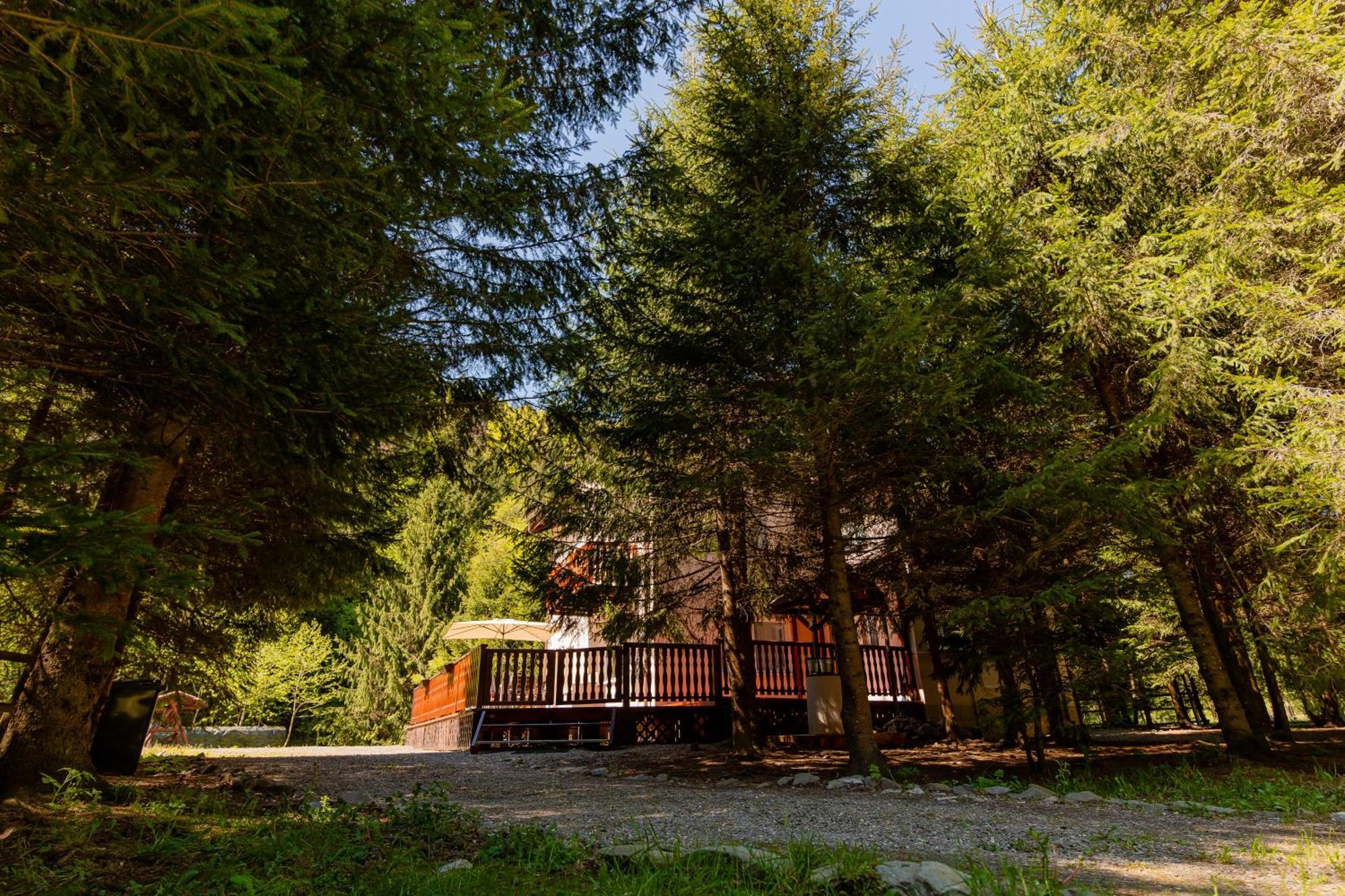 Cabana Zip Zărneşti Exteriér fotografie