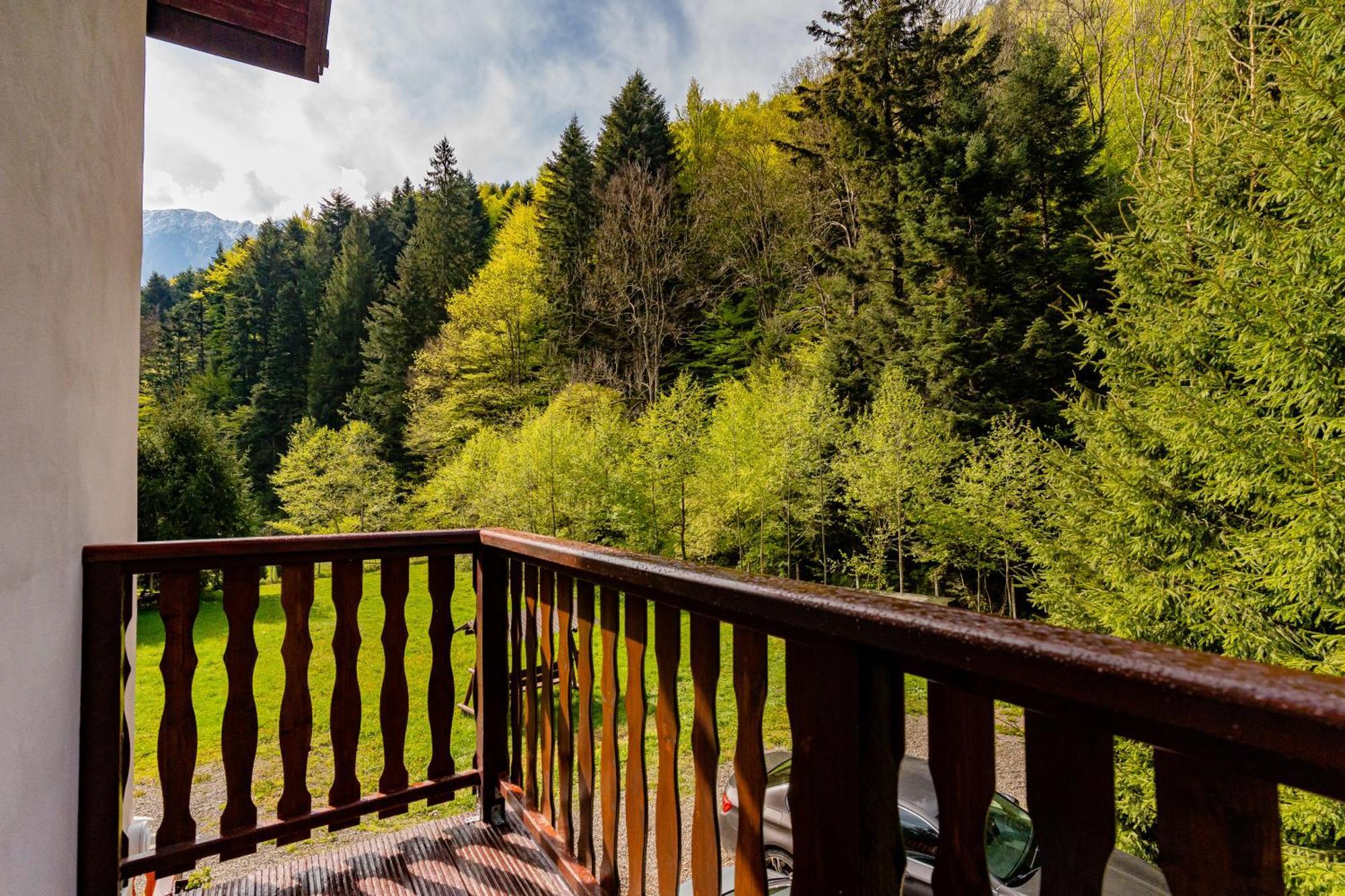 Cabana Zip Zărneşti Exteriér fotografie