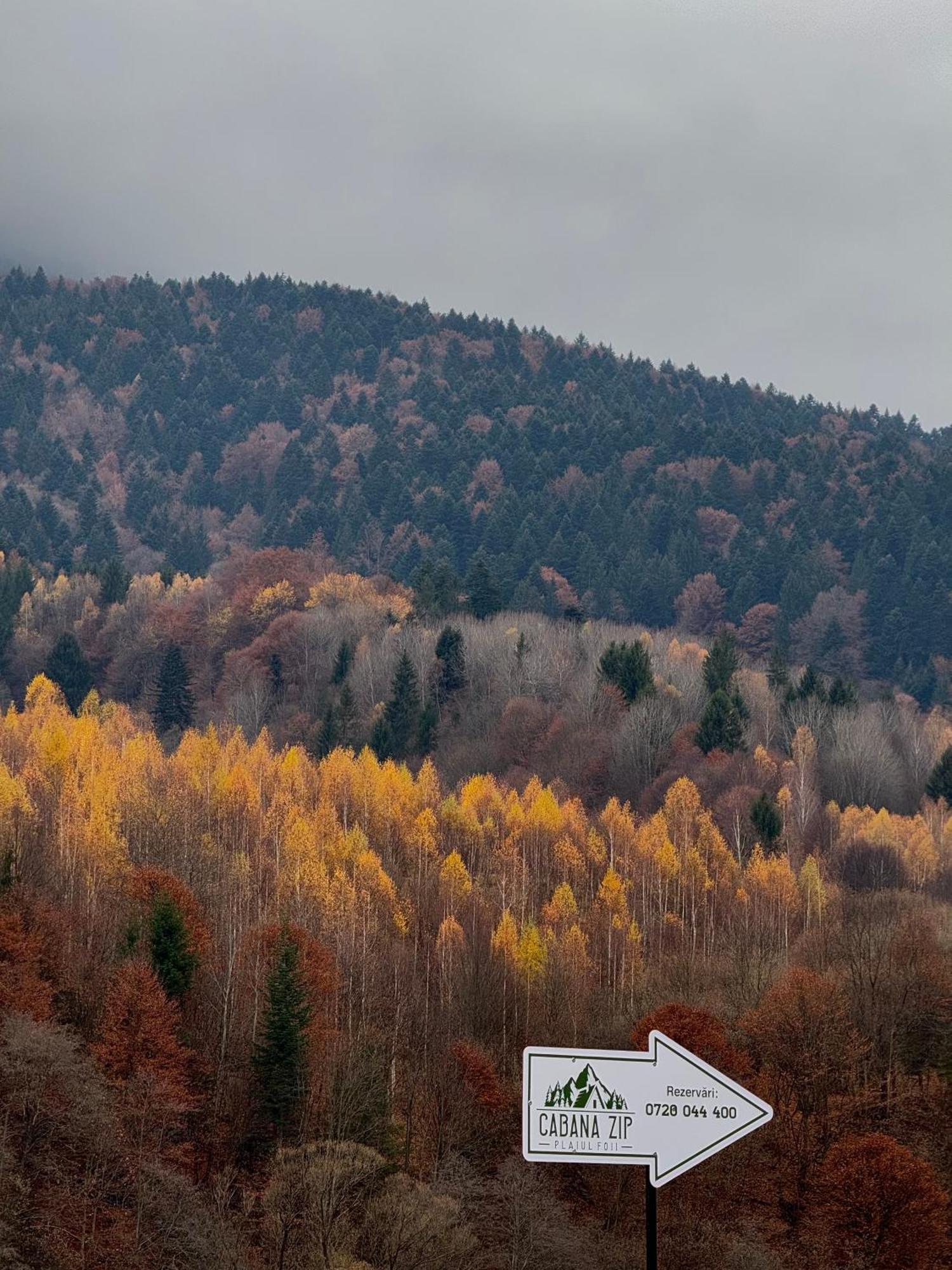 Cabana Zip Zărneşti Exteriér fotografie