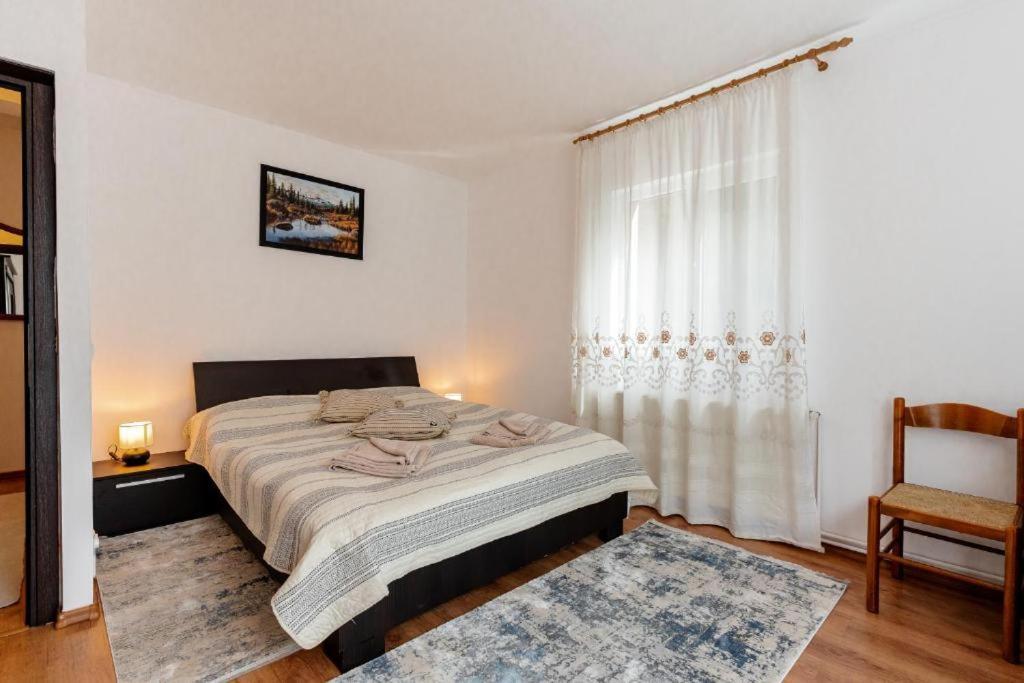 Cabana Zip Zărneşti Exteriér fotografie