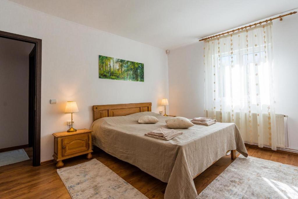 Cabana Zip Zărneşti Exteriér fotografie