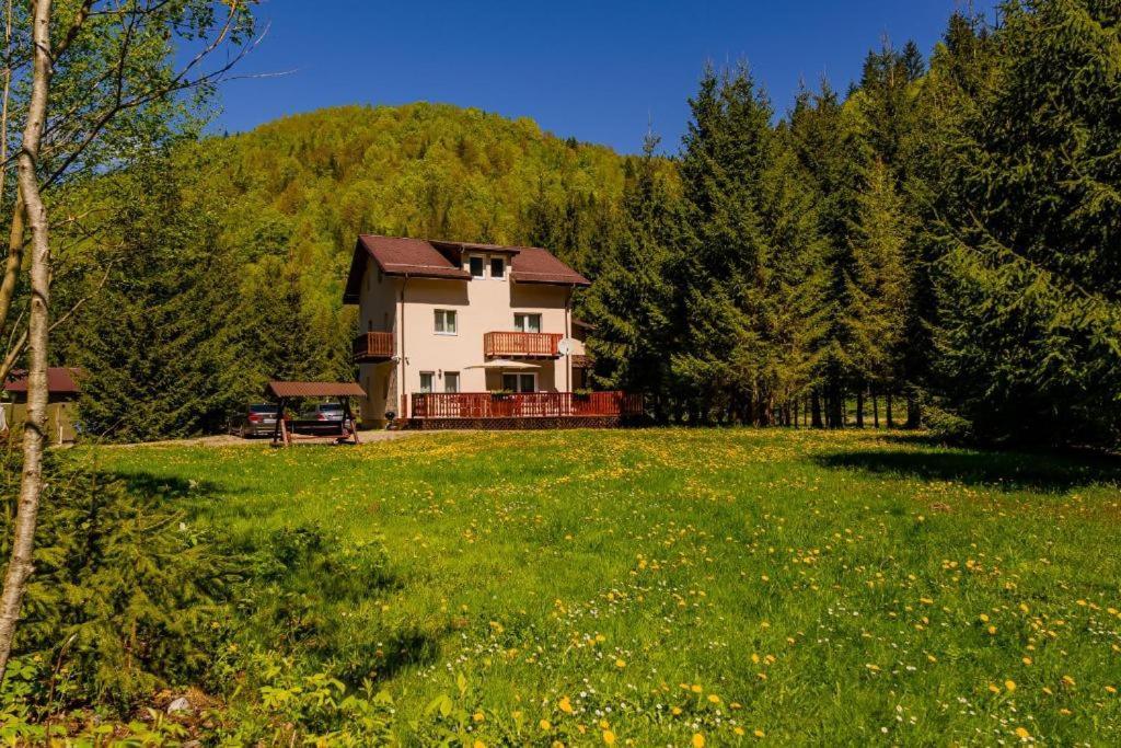 Cabana Zip Zărneşti Exteriér fotografie